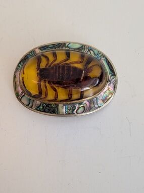 Vtg oval Scorpion in Amber Resin & mosaic abalone Shell inlay frame Belt Buckle